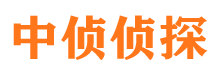 泾川市调查公司